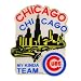 Chicago Cubs My Kinda Team Day Game Souvenir Pin