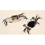 Land Crabs (Print On Demand)
