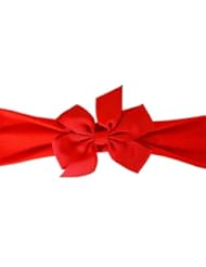 Apparel: Nylon Baby Bow Headband (Red Band/Red Bow)