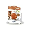 PetSafe SlimCat Interactive Toy and Food Dispenser (Orange)