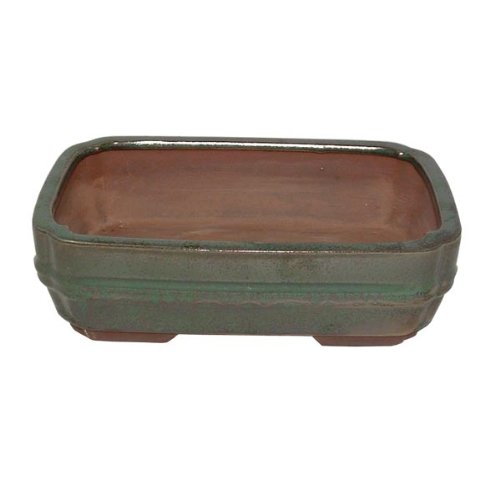 21cm Green Rectangular Glazed Bonsai Pot