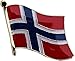 Flagline Norway ~ National Lapel Pin