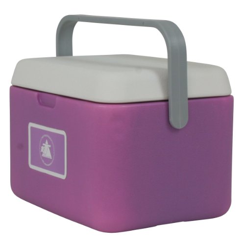 10T Fridgo 5 Glacière passive Lavande/Gris Clair 27 x 22 x 19,5 cm