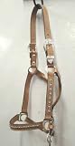 Silver Chain & Multi Color Rhinestone Show Halter
