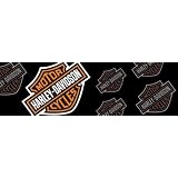 BAR & SHIELD ANGLED IN COLOR 53X14 HARLEY DAVIDSON REAR WINDOW DECAL 