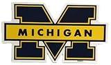 Michigan Wolverines Car Magnets (Set of 2)