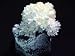 Popcorn Rock***3 pack***