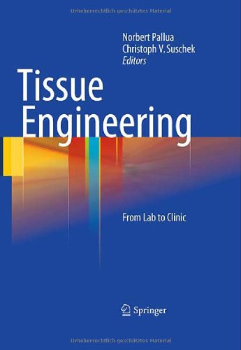 tissue engineering from lab to clinic