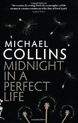 Midnight in a Perfect Life