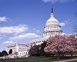 An Elegant Spring Day at the United States Capitol - Lovely 16"x20" Photographic Print by Carol M. Highsmith