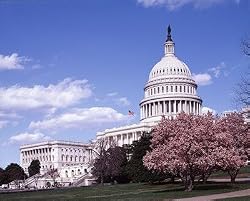 An Elegant Spring Day at the United States Capitol - Lovely 16"x20" Photographic Print by Carol M. Highsmith