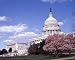 An Elegant Spring Day at the United States Capitol - Lovely 16"x20" Photographic Print by Carol M. Highsmith