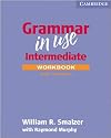 Grammar in Use Workbook with Answers