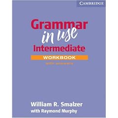 Grammar in Use Workbook with Answers