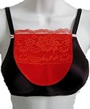 Chemisettes by Anne Modesty Panel with Lace Overlay. Choose from 9 Clrs. Szs Sm-XXL