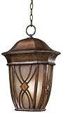 Aston Court 20 1/2 High Hanging Outdoor Light Fixture