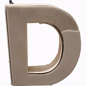 3-Dimensional Gate Letter D From Giants Stadium