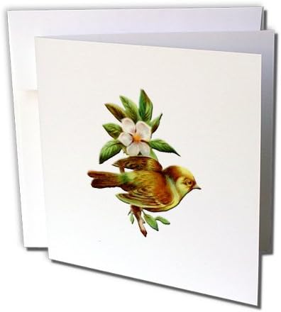 BLN Vintage Bird Illustrations Collection - Pretty Little Bird Perched on Branch of a White Flowering Tree - 6 Greeting Cards with envelopes (gc_171361_1)