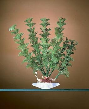Cabomba Artificial Aquarium Plant Decoration