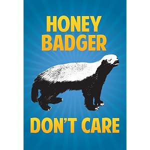 Honey Badger Don't Care Poster