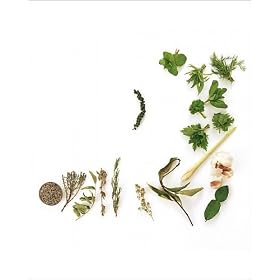 Photographic Prints of Assortment of herbs from Science Photo Library