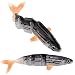 DAM Effzett Power Skater Tiger Fish 15cm 2 Stück