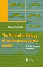 The Molecular Biology of Schizosaccharomyces pombe: Genetics, Genomics and Beyond
