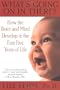 What's Going on in There?: How the Brain and Mind Develop in the First Five Years of Life