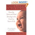 What's Going on in There?: How the Brain and Mind Develop in the First Five Years of Life