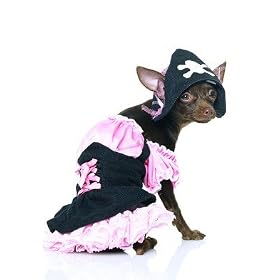 Sexy Treasure Hut Pirate Pet Dog/Cat Halloween Costume