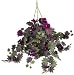 Morning Glory Hanging Basket Silk Plant