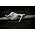 Thumbnail image of Abra Moore