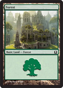 Magic: the Gathering - Forest (273) - Return to Ravnica