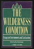 The Wilderness Condition