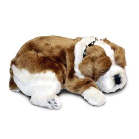 Perfect Petzzz Bully Bulldog by Perfect Petzzz