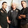 Image of Toadies