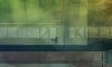 Lost in Shadow