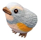 愛鳥倶楽部 ヒナドリ 01 るりびたき