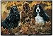 cocker_spaniel1cocker spaniel - English Cocker Spaniel Porch Doormat