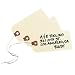 Avery Shipping Tags, Paper/Double Wire, 4.25 x 2.125 Inches, Manila, Pack of 1000 (12604)