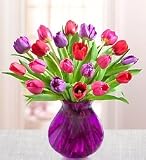 Valentine's Day Flowers by 1-800-Flowers - Tulips for Your Valentine - Medium