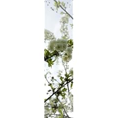 Horn textiles Jamaika 36 Fl�chenvorhang digital bedruckt Kirschbl�te (Breite: 43 cm, H�he: 245 cm)