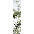 Horn textiles Jamaika 36 Fl�chenvorhang digital bedruckt Kirschbl�te (Breite: 43 cm, H�he: 245 cm)