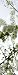 Bild: Horn textiles Jamaika 36 Fl�chenvorhang digital bedruckt Kirschbl�te (Breite: 43 cm, H�he: 245 cm)