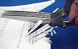 Multi Blade Shredder Scissors