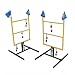 Search : Wild Sales Detroit Lions Tailgate Golf Toss Game