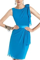 Cocktail Chiffon Evening Dress/Party Dress 