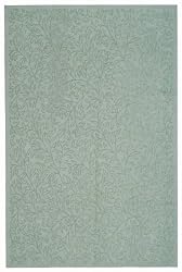 Martha Stewart Snowberry Rug Rug Size: 3'9" x 5'9"
