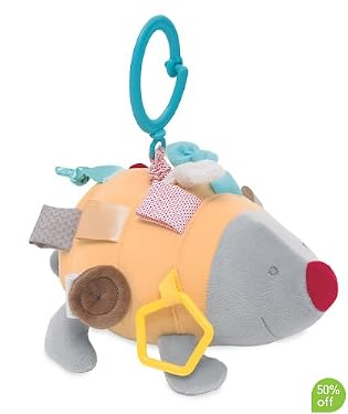 Precious Bear Hedgehog Activity Toy/Musical Pull