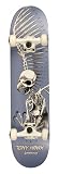 Birdhouse Titanium Series Full Skull Complete Skateboard